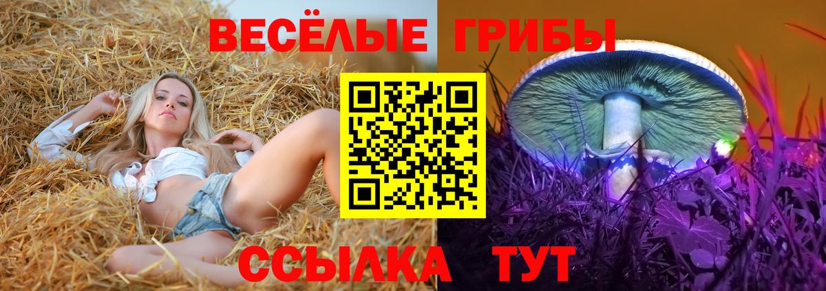Галлюциногенные грибы прущие грибы  наркошоп  Псилоцибиновые грибы ЛСД  Борисоглебск  Вход с VPN 